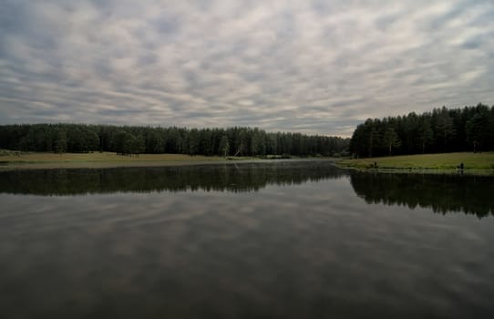 Water near the forest. Reflecting trees in the water.