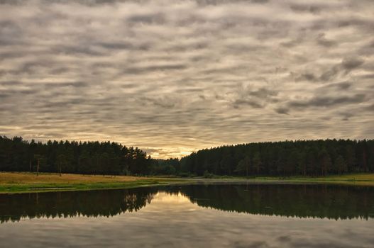 Water near the forest. Reflecting trees in the water.