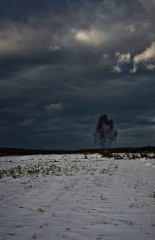 Winter on a grassy field. Russian landscapes in winter.