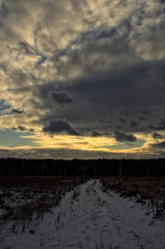 Winter on a grassy field. Russian landscapes in winter.