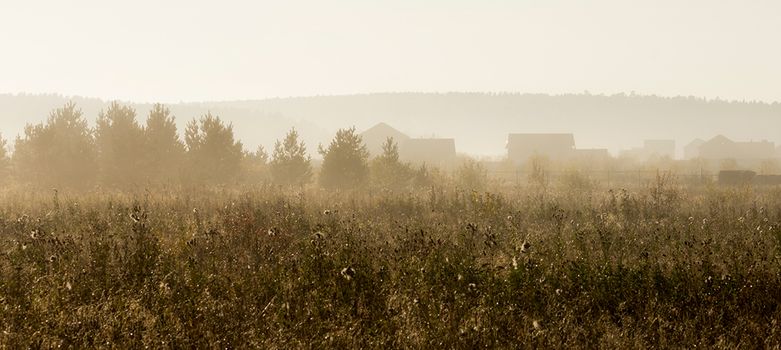 Wooden houses on the edge of the forest. Grass and trees near the village.