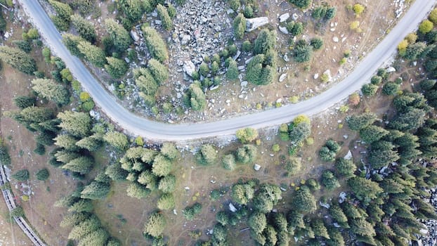 The car is driving on road in the forest. Top view from a drone. Mountainous terrain, steep slopes and turns. Autumn landscape. Yellow-green grass, green firs, hills and rocks. Shadows from the trees