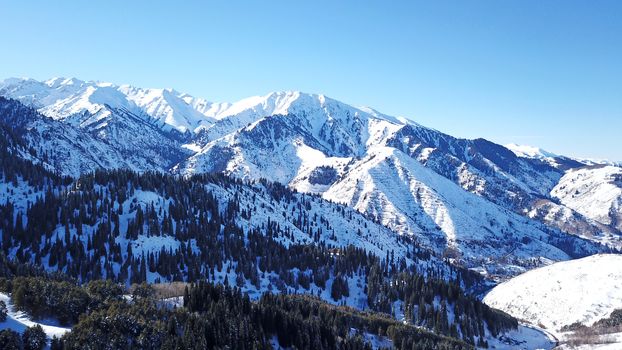 Winter forest high in the mountains. Top view from the throne of the snowy mountains and hills. Fir trees and trees grow on the hills. Some trees are covered with snow. The shadow of the trees.