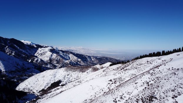 Winter forest high in the mountains. Top view from the throne of the snowy mountains and hills. Fir trees and trees grow on the hills. Some trees are covered with snow. The shadow of the trees.