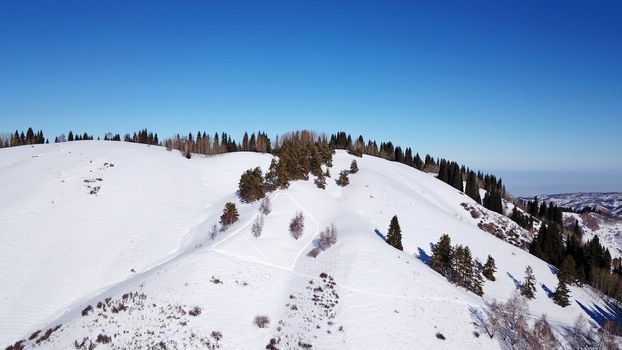 Winter forest high in the mountains. Top view from the throne of the snowy mountains and hills. Fir trees and trees grow on the hills. Some trees are covered with snow. The shadow of the trees.