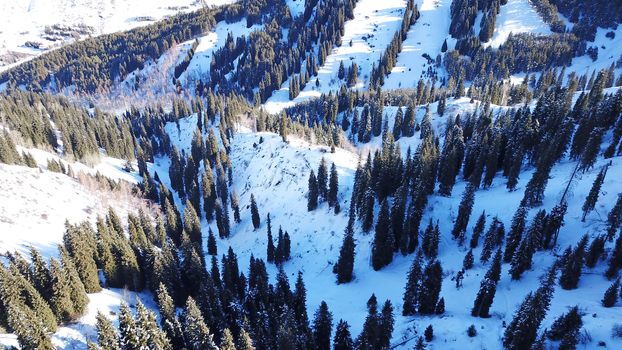 Winter forest high in the mountains. Top view from the throne of the snowy mountains and hills. Fir trees and trees grow on the hills. Some trees are covered with snow. The shadow of the trees.