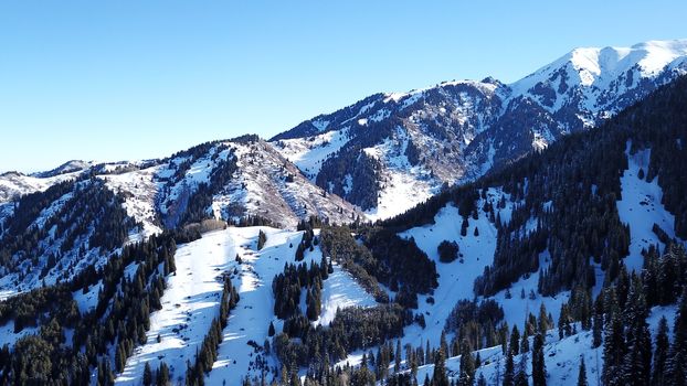 Winter forest high in the mountains. Top view from the throne of the snowy mountains and hills. Fir trees and trees grow on the hills. Some trees are covered with snow. The shadow of the trees.