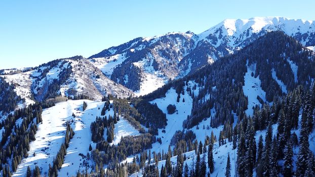 Winter forest high in the mountains. Top view from the throne of the snowy mountains and hills. Fir trees and trees grow on the hills. Some trees are covered with snow. The shadow of the trees.