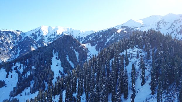 Winter forest high in the mountains. Top view from the throne of the snowy mountains and hills. Fir trees and trees grow on the hills. Some trees are covered with snow. The shadow of the trees.