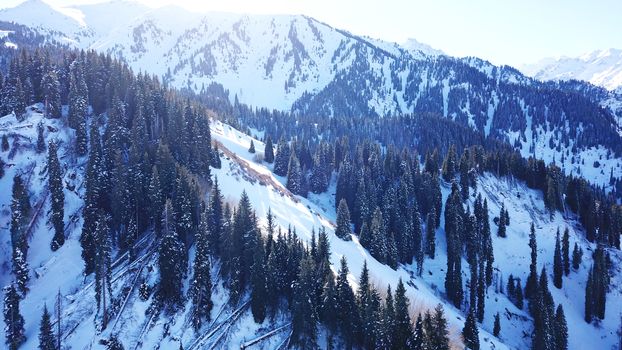 Winter forest high in the mountains. Top view from the throne of the snowy mountains and hills. Fir trees and trees grow on the hills. Some trees are covered with snow. The shadow of the trees.