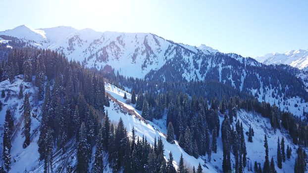 Winter forest high in the mountains. Top view from the throne of the snowy mountains and hills. Fir trees and trees grow on the hills. Some trees are covered with snow. The shadow of the trees.