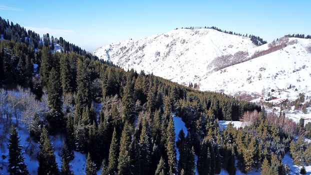 Winter forest high in the mountains. Top view from the throne of the snowy mountains and hills. Fir trees and trees grow on the hills. Some trees are covered with snow. The shadow of the trees.