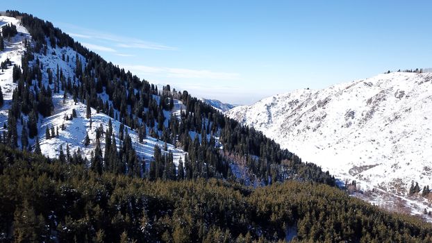 Winter forest high in the mountains. Top view from the throne of the snowy mountains and hills. Fir trees and trees grow on the hills. Some trees are covered with snow. The shadow of the trees.