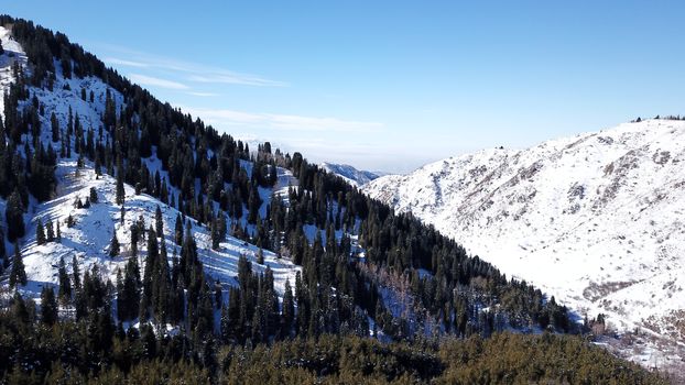 Winter forest high in the mountains. Top view from the throne of the snowy mountains and hills. Fir trees and trees grow on the hills. Some trees are covered with snow. The shadow of the trees.