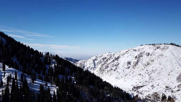 Winter forest high in the mountains. Top view from the throne of the snowy mountains and hills. Fir trees and trees grow on the hills. Some trees are covered with snow. The shadow of the trees.