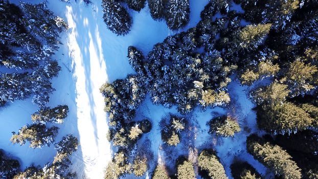 Winter forest high in the mountains. Top view from the throne of the snowy mountains and hills. Fir trees and trees grow on the hills. Some trees are covered with snow. The shadow of the trees.