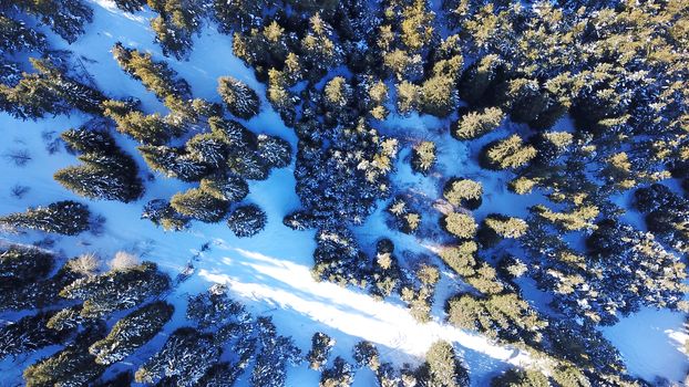Winter forest high in the mountains. Top view from the throne of the snowy mountains and hills. Fir trees and trees grow on the hills. Some trees are covered with snow. The shadow of the trees.