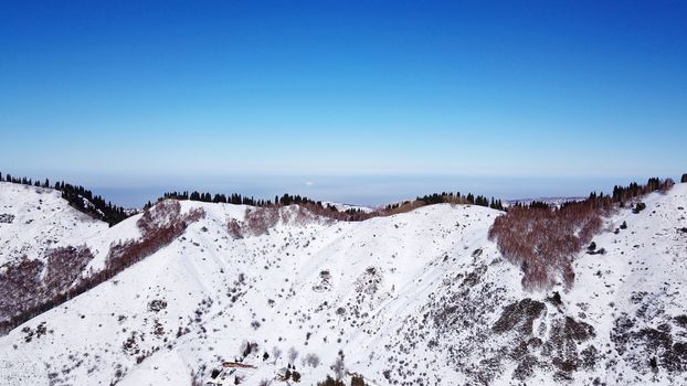 Winter forest high in the mountains. Top view from the throne of the snowy mountains and hills. Fir trees and trees grow on the hills. Some trees are covered with snow. The shadow of the trees.