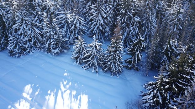 Winter forest high in the mountains. Top view from the throne of the snowy mountains and hills. Fir trees and trees grow on the hills. Some trees are covered with snow. The shadow of the trees.