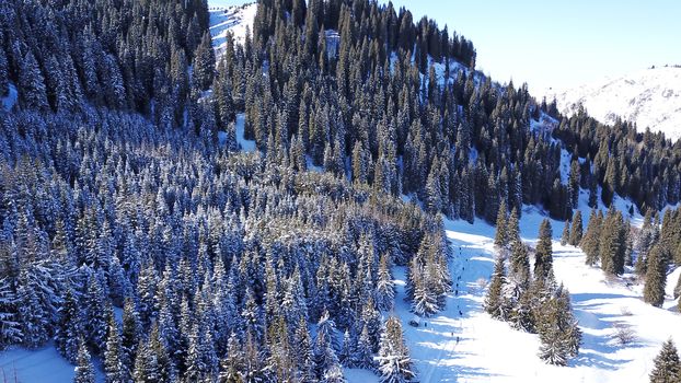 Active recreation of people in the mountains. Top view from the throne. A group of people walking along a trail in a snowy forest in the mountains. The trees cast shadows on the snow. Sunny day.