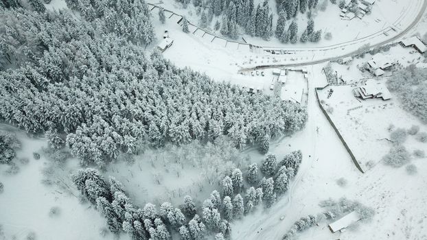 The winter forest in the mountains is covered with fresh snow. A group of people is walking along the trail. The view from the top. Fog in the gorge. Coniferous trees, firs in the snow. Kazakhstan