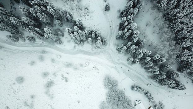 The winter forest in the mountains is covered with fresh snow. A group of people is walking along the trail. The view from the top. Fog in the gorge. Coniferous trees, firs in the snow. Kazakhstan