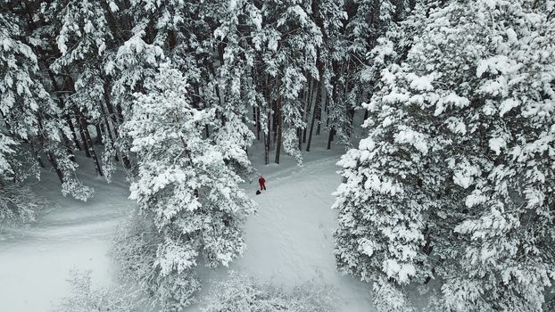 The winter forest in the mountains is covered with fresh snow. A group of people is walking along the trail. The view from the top. Fog in the gorge. Coniferous trees, firs in the snow. Kazakhstan