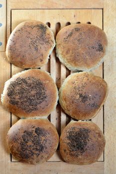 Six baked homemade hamburger buns with poppy seeds