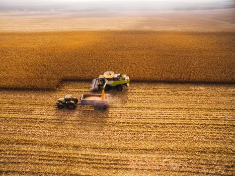 Harvesting Corn in the Green Field. Aerial photography over Automated Combines