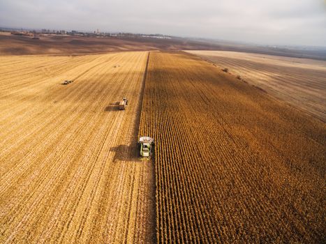 Harvesting Corn in the Green Field. Aerial photography over Automated Combines