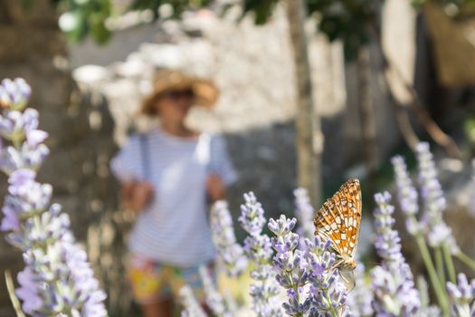 Defocused image of young female traveler wearing straw sun hat enjoying summer on Mediterranean cost strolling among lavander flowers on traditional costal village garden.