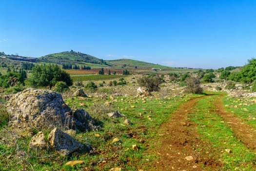 View of Upper Galilee landscape, with hills and vineyards. Northern Israel