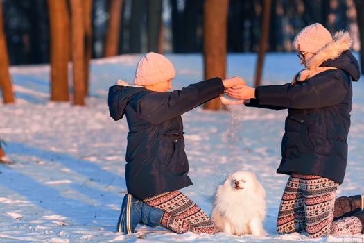 Beautiful teenage girls having fun with spitz dog in the park in winter