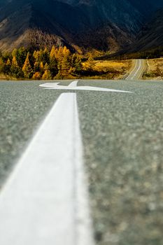 Asphalt road to the mountains. Mountain track on the Altai.