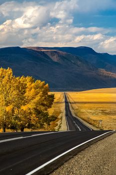 Asphalt road to the mountains. Mountain track on the Altai.