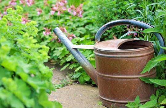 Old rusty watering can on garden footpath