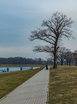 Long pathway with woman walking with stroller near high winter tree