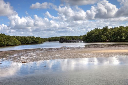 Fishing Pier over Waterway in Lovers Key State Park surrounded by mangroves in Fort Myers, Florida