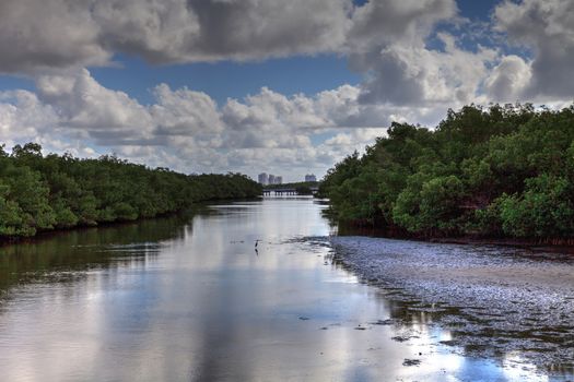 Waterway in Lovers Key State Park surrounded by mangroves in Fort Myers, Florida