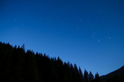 Night sky with stars and silhouette backlit trees and forest.