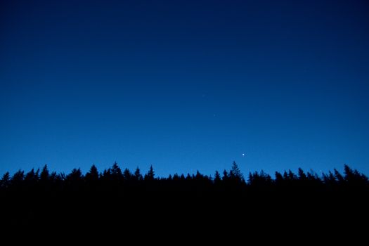 Night sky and silhouette backlit trees and forest. Low view angle of top trees. Clear sky