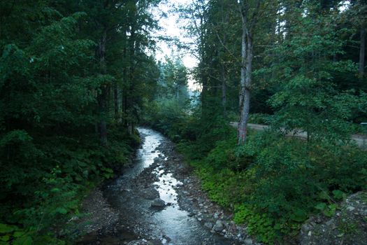 Beautiful landscape of mountain river. flow among mossy rocks in the forest in springtime. Trees in green foliage