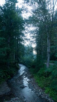 Beautiful landscape of mountain river. flow among mossy rocks in the forest in springtime. Trees in green foliage