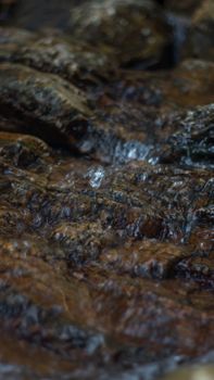 Close up of mountain river flows between picturesque summer stones. Rocks in the mountains with water flowing