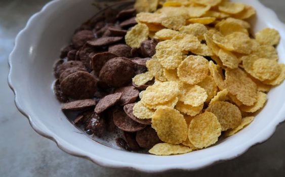 Bowl of black and yellow cereals on grey background side view