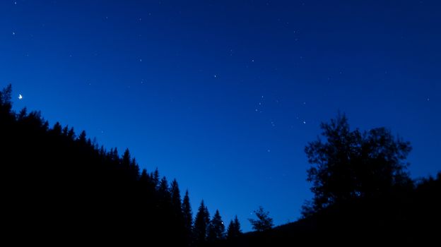 Night sky with stars and silhouette backlit trees and forest.