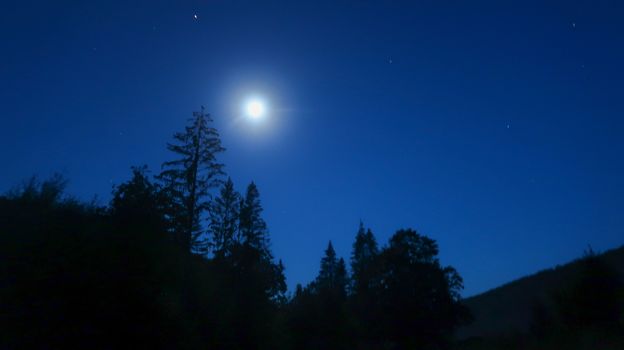 Night sky with stars and silhouette backlit trees and forest. Full shining moon