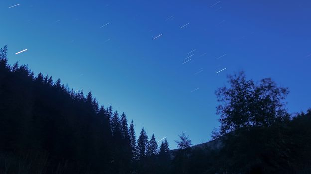 Night sky with stars and silhouette backlit trees and forest. Stars trails at night