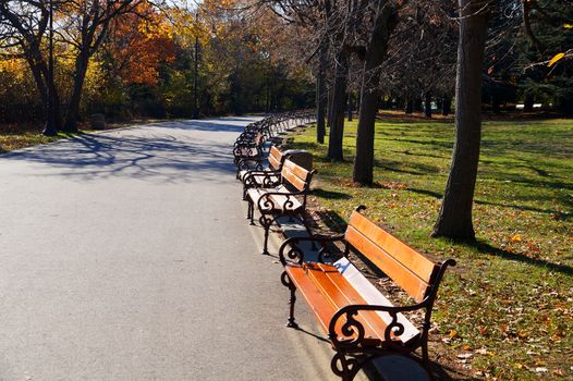 empty benches n the park on a sunny day