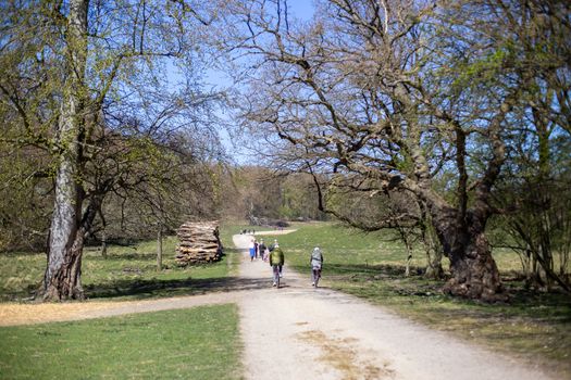 Klampenborg, Denmark - April 21, 2019: People enjoying a sunny day inside the Deer Park Dyrehaven. Dyrehaven is a forest park north of Copenhagen